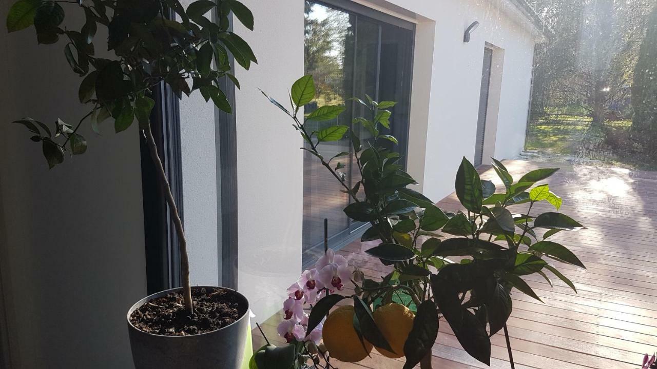 Villa Gena Saint-Medard-d'Eyrans Ngoại thất bức ảnh